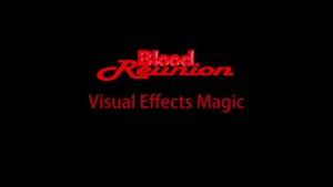 Blood Reunion Visual Effects